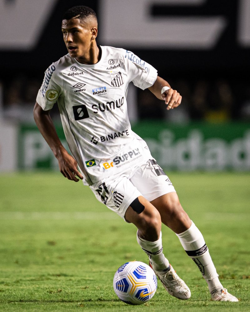 动作和坚定 动作和坚定